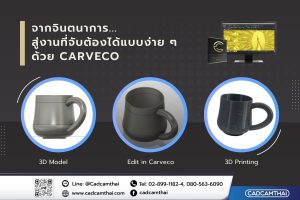 Make 3D Model from Carvaco